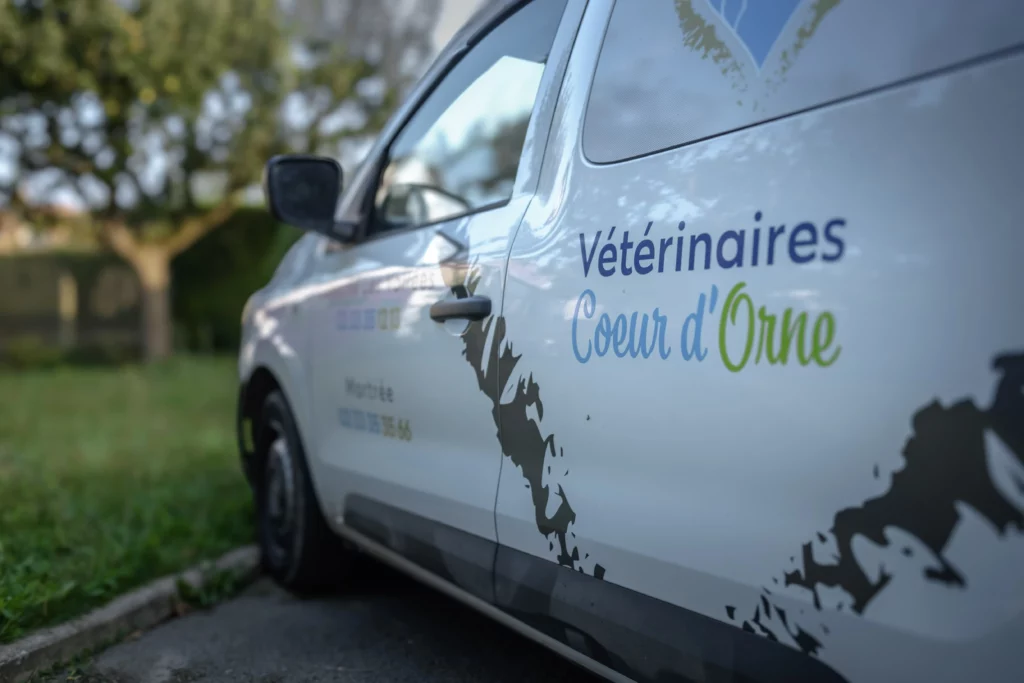 Photographe orne argentan sées entreprise Photographe orne argentan sées entreprise
